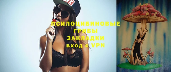 сатива Осташков