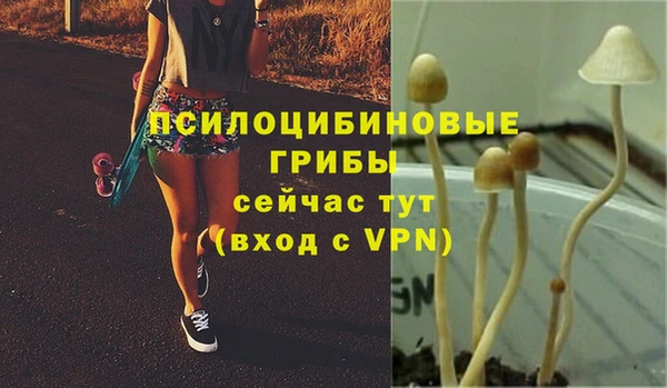 спайс Остров