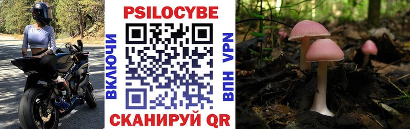 продажа наркотиков  Алагир  Псилоцибиновые грибы мухоморы 